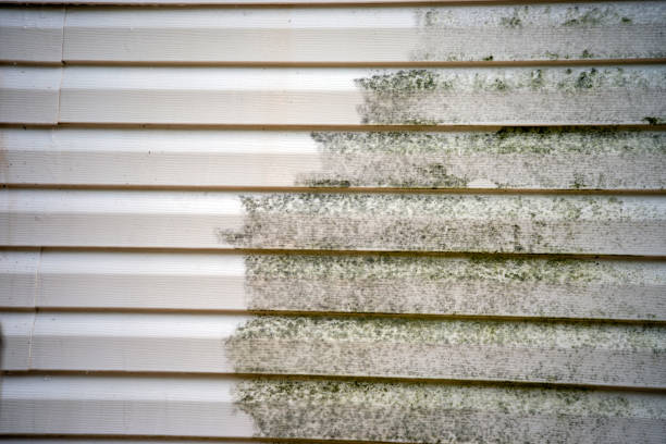 Best Siding Removal and Disposal  in Knightstown, IN