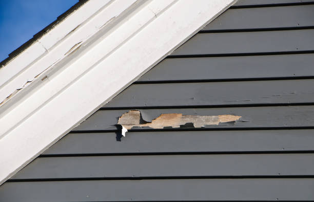 Best Fascia and Soffit Installation  in Knightstown, IN