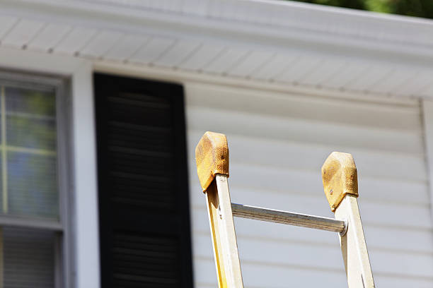 Best Vinyl Siding Installation  in Knightstown, IN