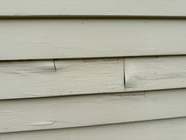 Best Custom Siding Design  in Knightstown, IN